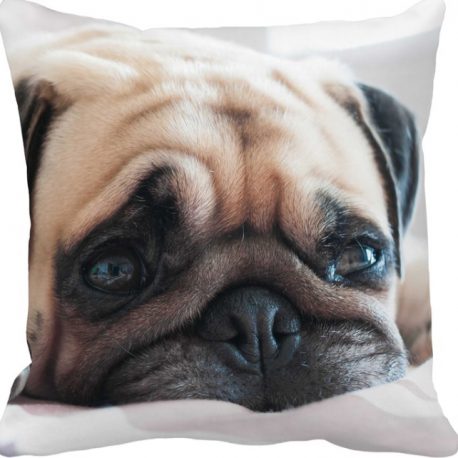 Cute Pug Dog Pillow Case